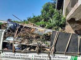 Best Construction Debris Removal  in Cotati, CA